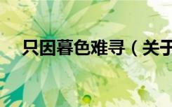 只因暮色难寻（关于只因暮色难寻介绍）