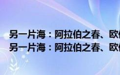 另一片海：阿拉伯之春、欧债风暴与新自由主义之殇（关于另一片海：阿拉伯之春、欧债风暴与新自由主义之殇介绍）
