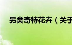 另类奇特花卉（关于另类奇特花卉介绍）