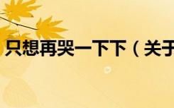 只想再哭一下下（关于只想再哭一下下介绍）