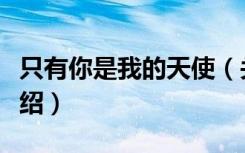 只有你是我的天使（关于只有你是我的天使介绍）