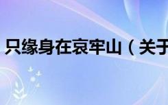 只缘身在哀牢山（关于只缘身在哀牢山介绍）