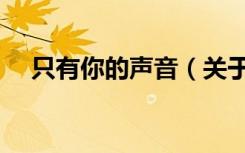 只有你的声音（关于只有你的声音介绍）