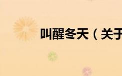 叫醒冬天（关于叫醒冬天介绍）
