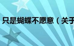 只是蝴蝶不愿意（关于只是蝴蝶不愿意介绍）