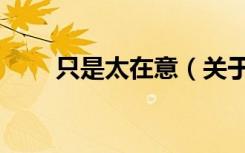 只是太在意（关于只是太在意介绍）