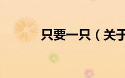 只要一只（关于只要一只介绍）