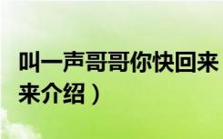 叫一声哥哥你快回来（关于叫一声哥哥你快回来介绍）