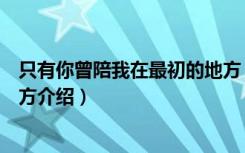 只有你曾陪我在最初的地方（关于只有你曾陪我在最初的地方介绍）