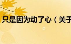 只是因为动了心（关于只是因为动了心介绍）