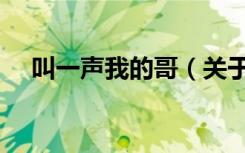叫一声我的哥（关于叫一声我的哥介绍）