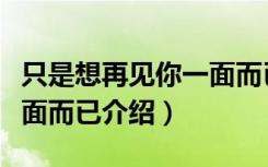 只是想再见你一面而已（关于只是想再见你一面而已介绍）