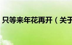 只等来年花再开（关于只等来年花再开介绍）