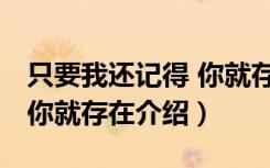 只要我还记得 你就存在（关于只要我还记得 你就存在介绍）