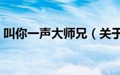 叫你一声大师兄（关于叫你一声大师兄介绍）