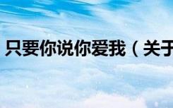 只要你说你爱我（关于只要你说你爱我介绍）