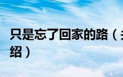 只是忘了回家的路（关于只是忘了回家的路介绍）