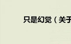 只是幻觉（关于只是幻觉介绍）