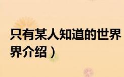 只有某人知道的世界（关于只有某人知道的世界介绍）