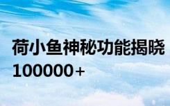 荷小鱼神秘功能揭晓，一月之内学习人数高达100000+