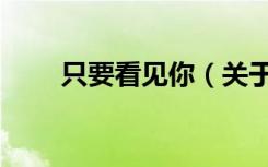 只要看见你（关于只要看见你介绍）