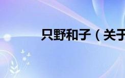 只野和子（关于只野和子介绍）