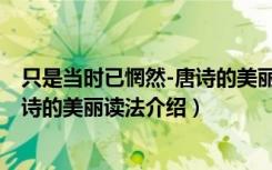 只是当时已惘然-唐诗的美丽读法（关于只是当时已惘然-唐诗的美丽读法介绍）