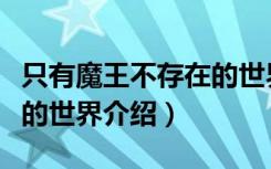 只有魔王不存在的世界（关于只有魔王不存在的世界介绍）