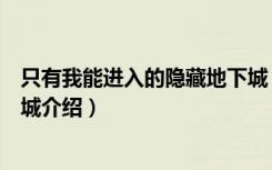 只有我能进入的隐藏地下城（关于只有我能进入的隐藏地下城介绍）