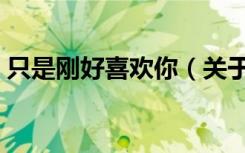 只是刚好喜欢你（关于只是刚好喜欢你介绍）