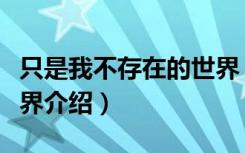 只是我不存在的世界（关于只是我不存在的世界介绍）