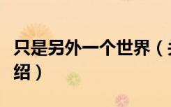 只是另外一个世界（关于只是另外一个世界介绍）