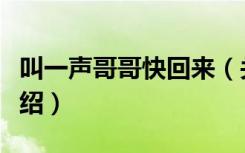 叫一声哥哥快回来（关于叫一声哥哥快回来介绍）