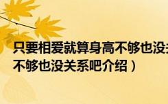 只要相爱就算身高不够也没关系吧（关于只要相爱就算身高不够也没关系吧介绍）