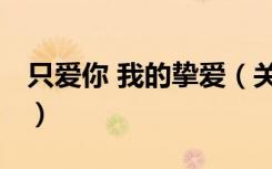 只爱你 我的挚爱（关于只爱你 我的挚爱介绍）