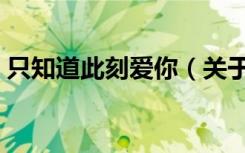 只知道此刻爱你（关于只知道此刻爱你介绍）