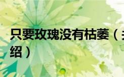 只要玫瑰没有枯萎（关于只要玫瑰没有枯萎介绍）