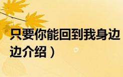 只要你能回到我身边（关于只要你能回到我身边介绍）