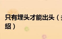 只有埋头才能出头（关于只有埋头才能出头介绍）