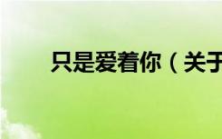 只是爱着你（关于只是爱着你介绍）