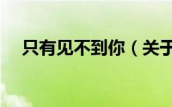 只有见不到你（关于只有见不到你介绍）