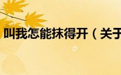 叫我怎能抹得开（关于叫我怎能抹得开介绍）