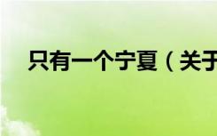 只有一个宁夏（关于只有一个宁夏介绍）