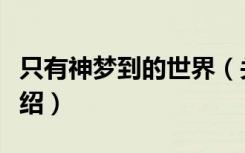 只有神梦到的世界（关于只有神梦到的世界介绍）