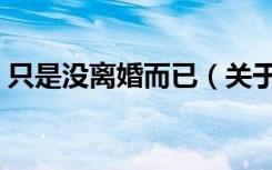 只是没离婚而已（关于只是没离婚而已介绍）