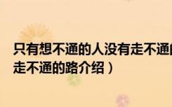 只有想不通的人没有走不通的路（关于只有想不通的人没有走不通的路介绍）