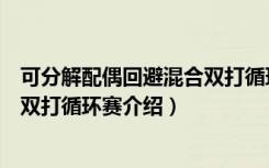 可分解配偶回避混合双打循环赛（关于可分解配偶回避混合双打循环赛介绍）