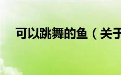 可以跳舞的鱼（关于可以跳舞的鱼介绍）