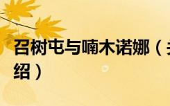 召树屯与喃木诺娜（关于召树屯与喃木诺娜介绍）