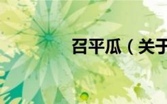 召平瓜（关于召平瓜介绍）